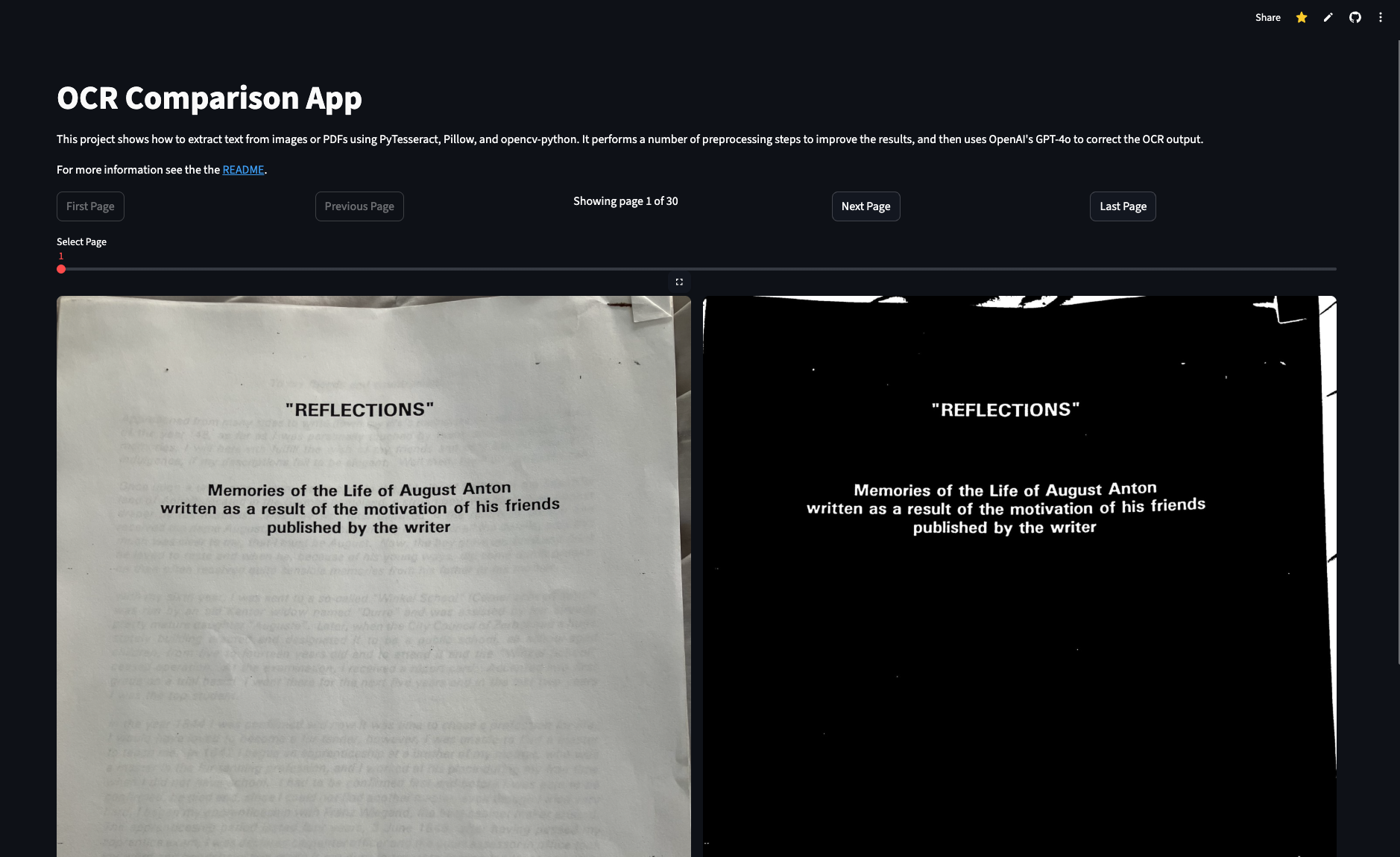 Streamlit viewer application showing side-by-side comparison